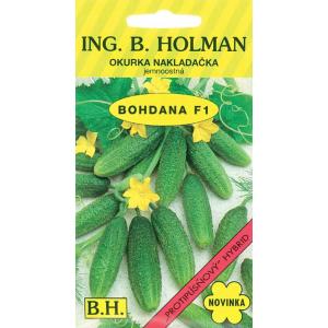 Ogórek Holman - Bohdana F1 hu 2,5 g