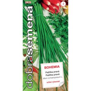 Dobre nasiona Szczypiorek - Bohemia 2g